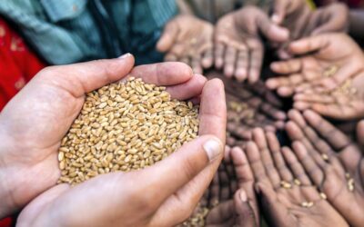 ¿Estamos preparados ante una eventual crisis alimentaria?